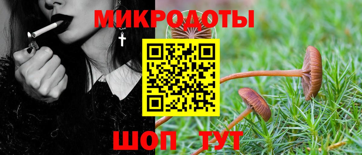 Таганрог  Галлюциногенные грибы мухоморы  Вход с VPN 
